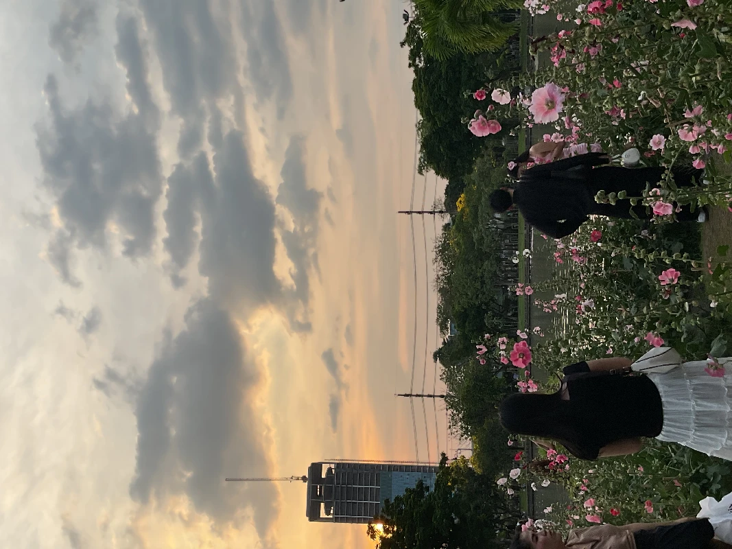 Profile cover