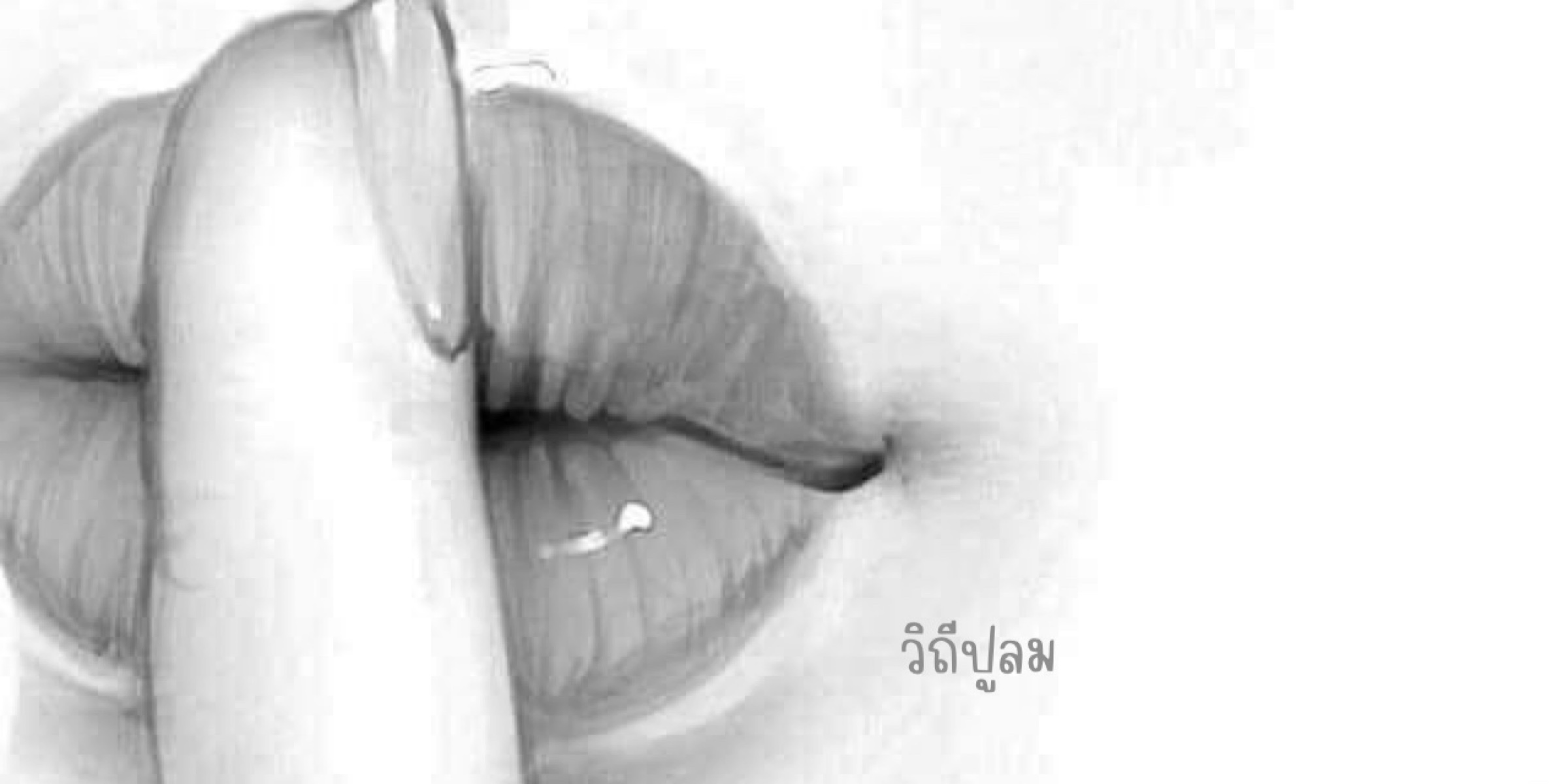 Profile cover