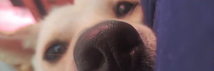 Profile cover