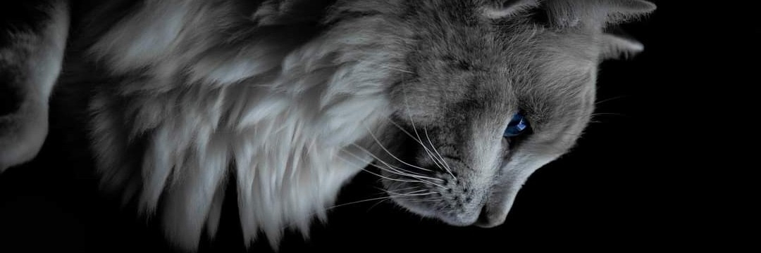 Profile cover