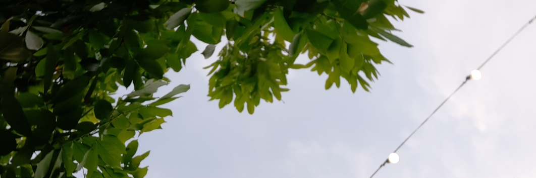 Profile cover