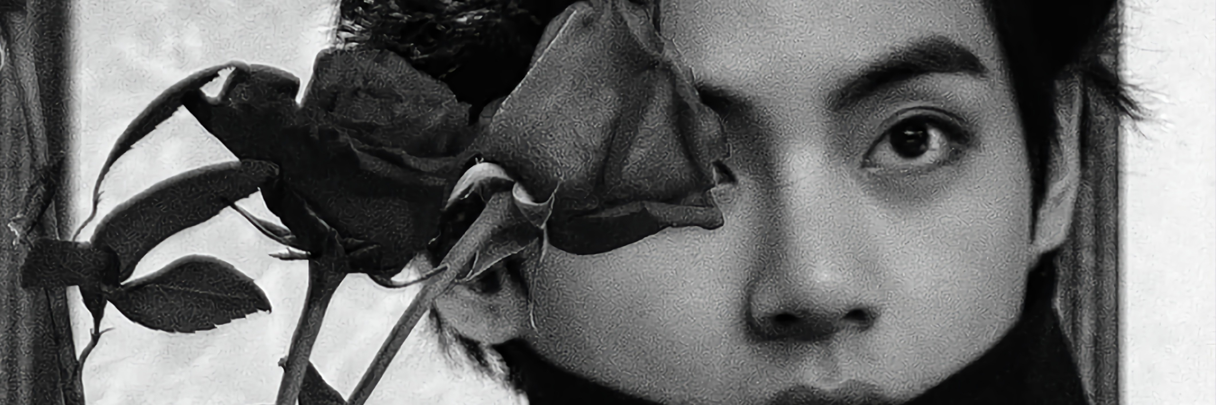 Profile cover