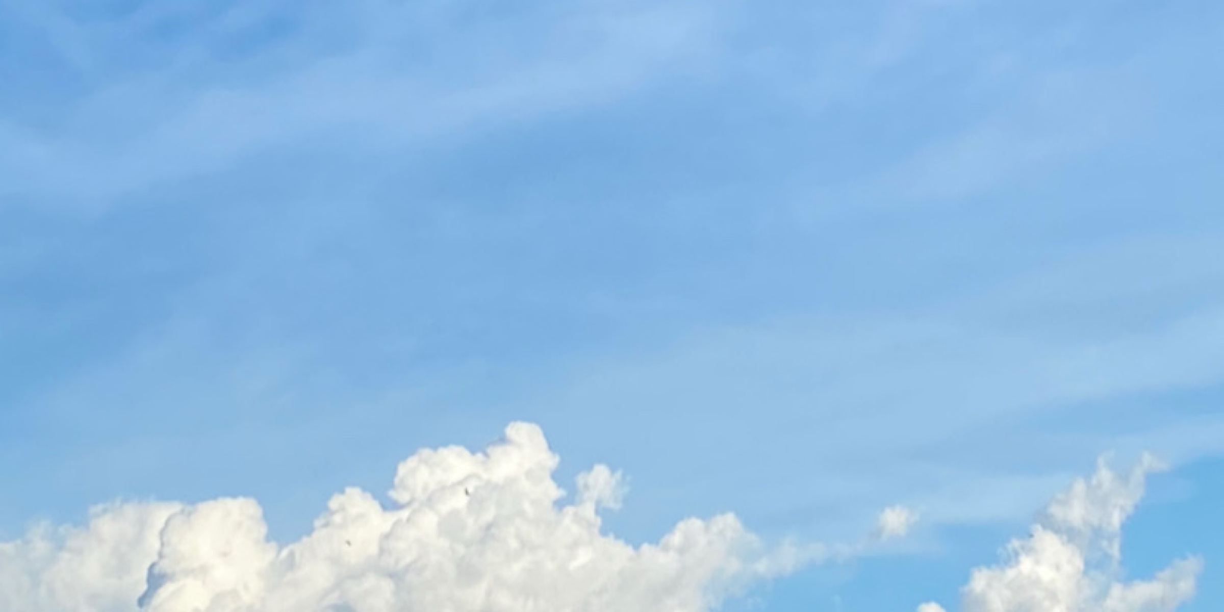 Profile cover