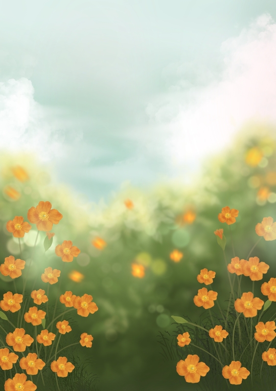 Profile cover