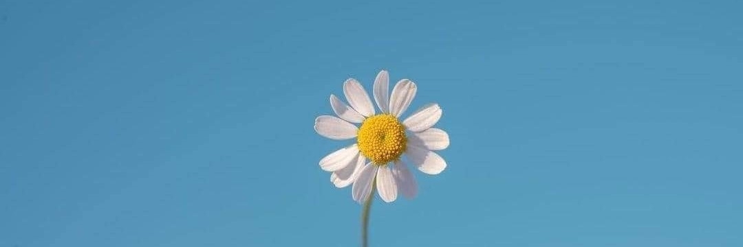 Profile cover