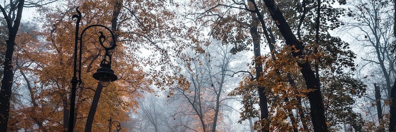 Profile cover