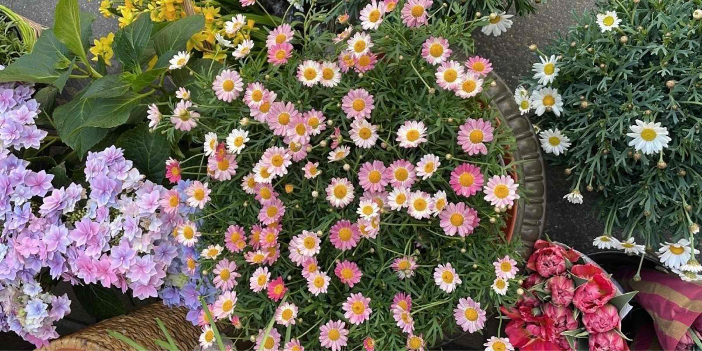 Profile cover