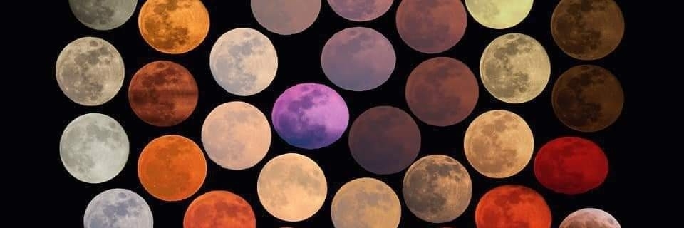 Profile cover