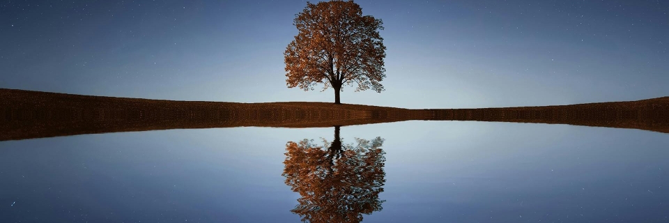 Profile cover