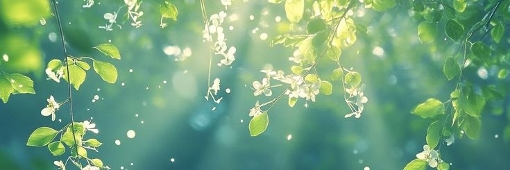 Profile cover