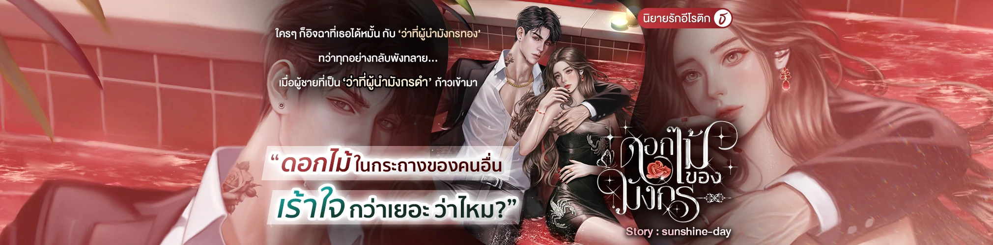 Profile cover