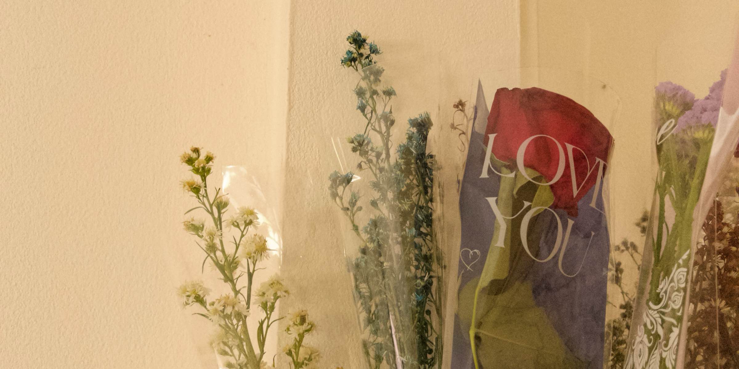 Profile cover