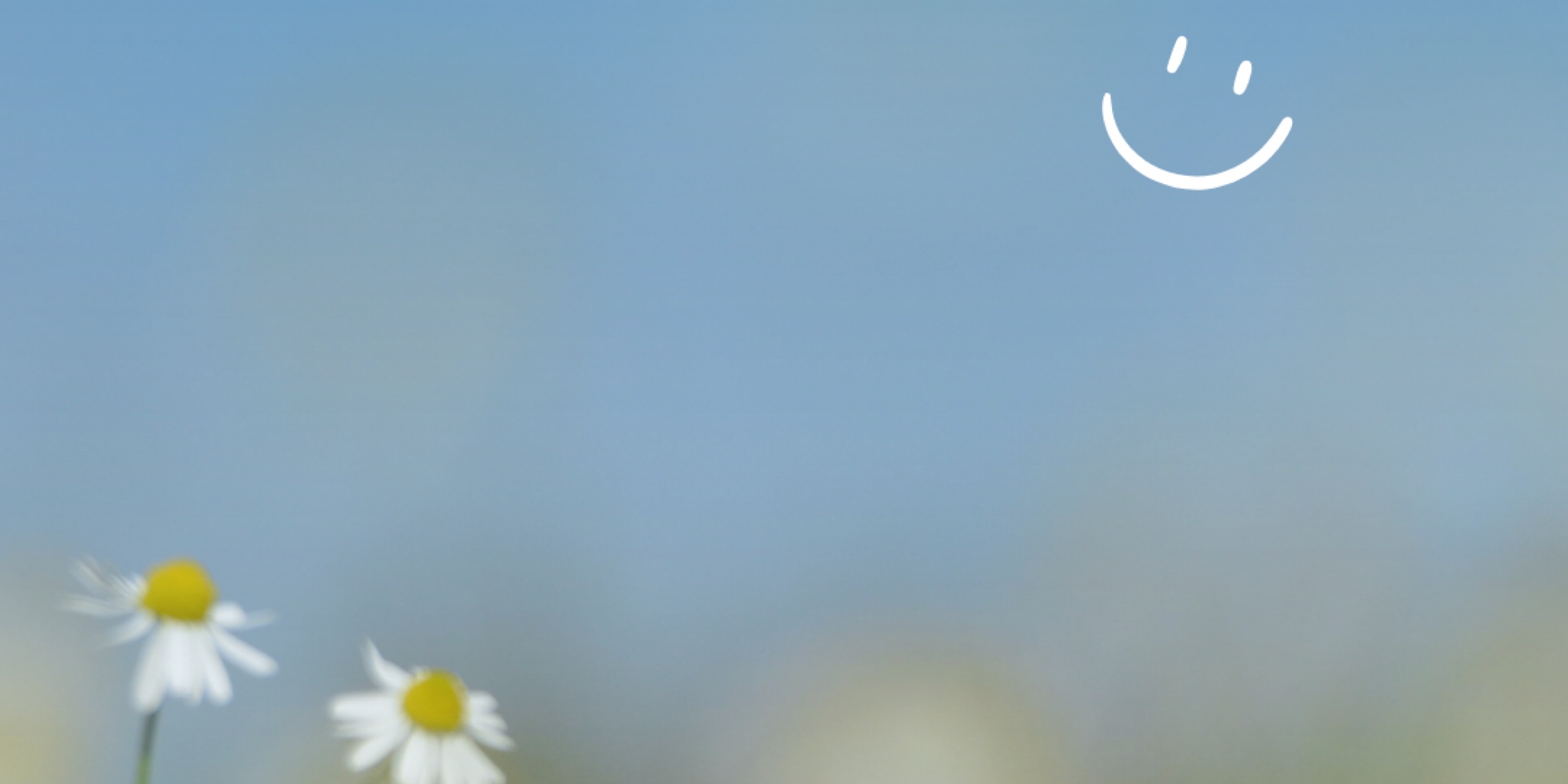 Profile cover