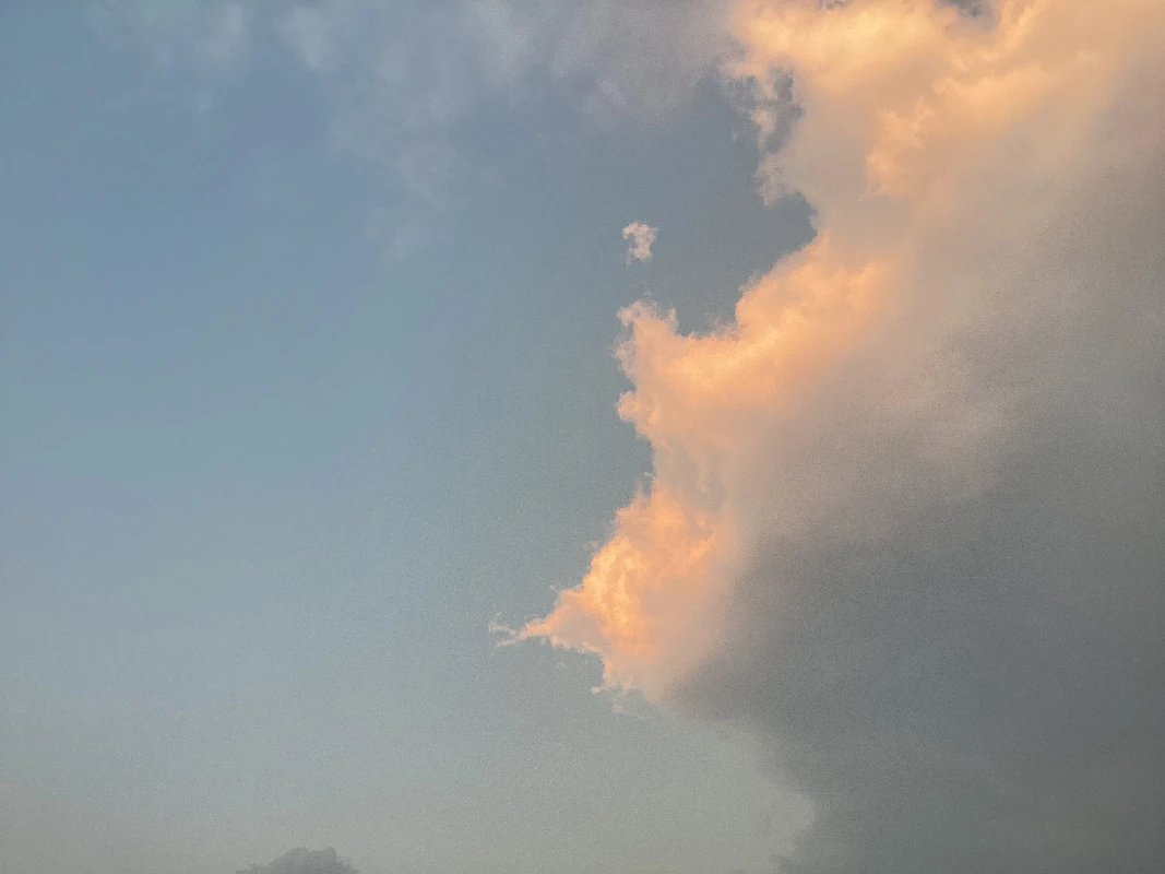 Profile cover