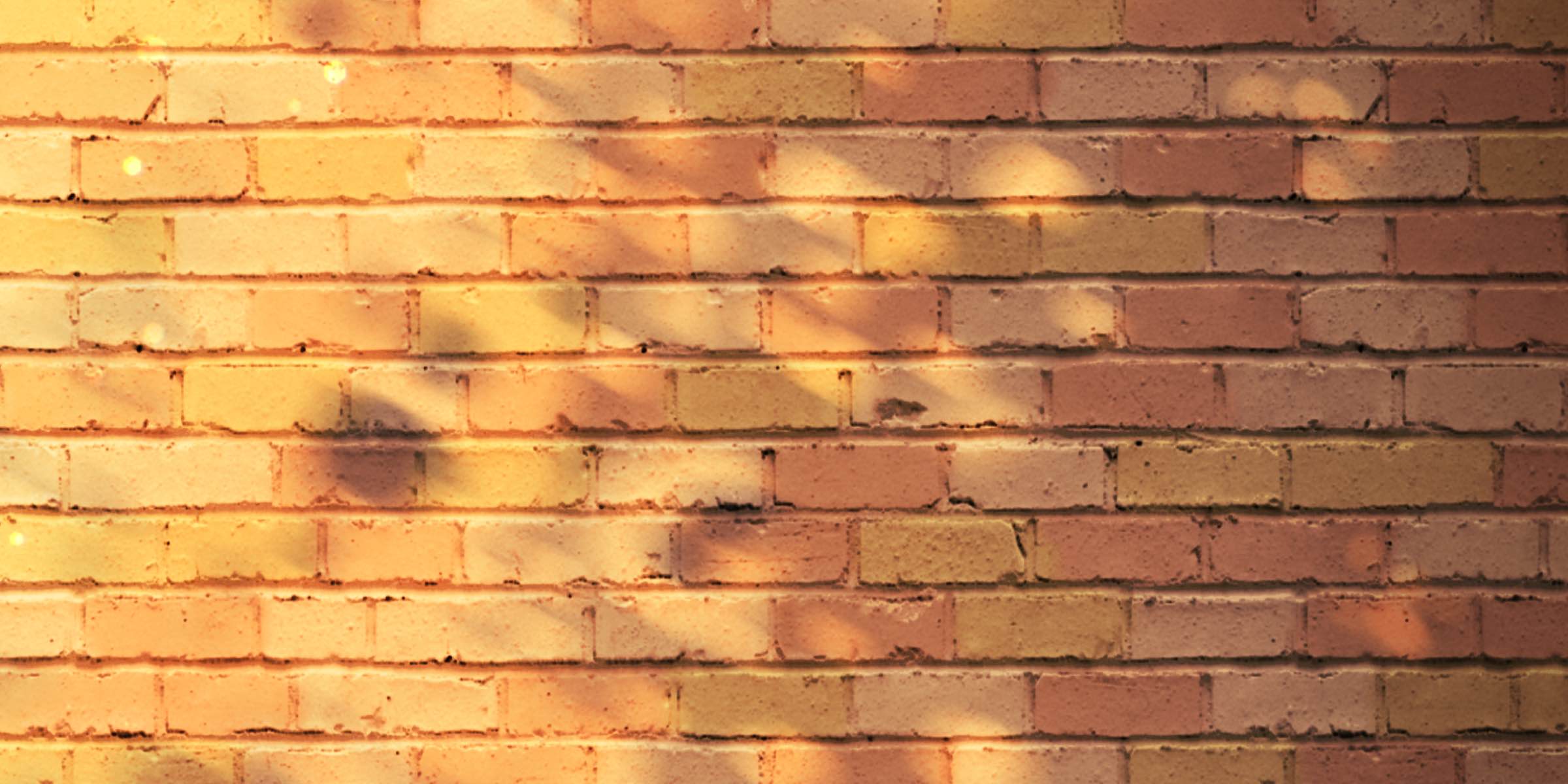 Profile cover