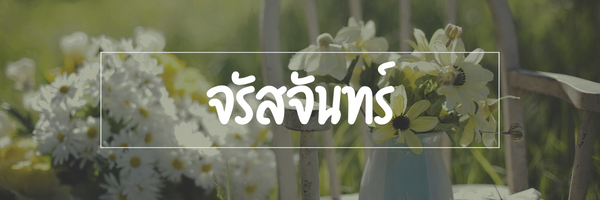 Profile cover