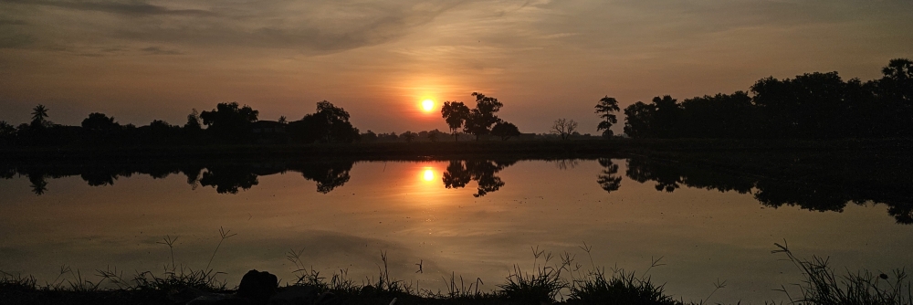 Profile cover