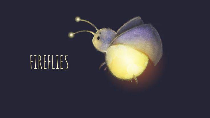 Profile cover