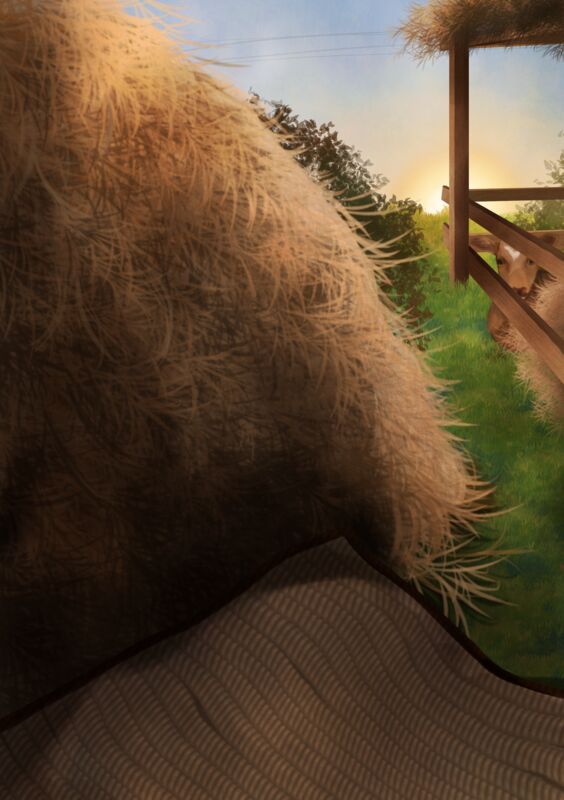 Profile cover