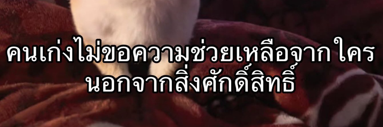 Profile cover