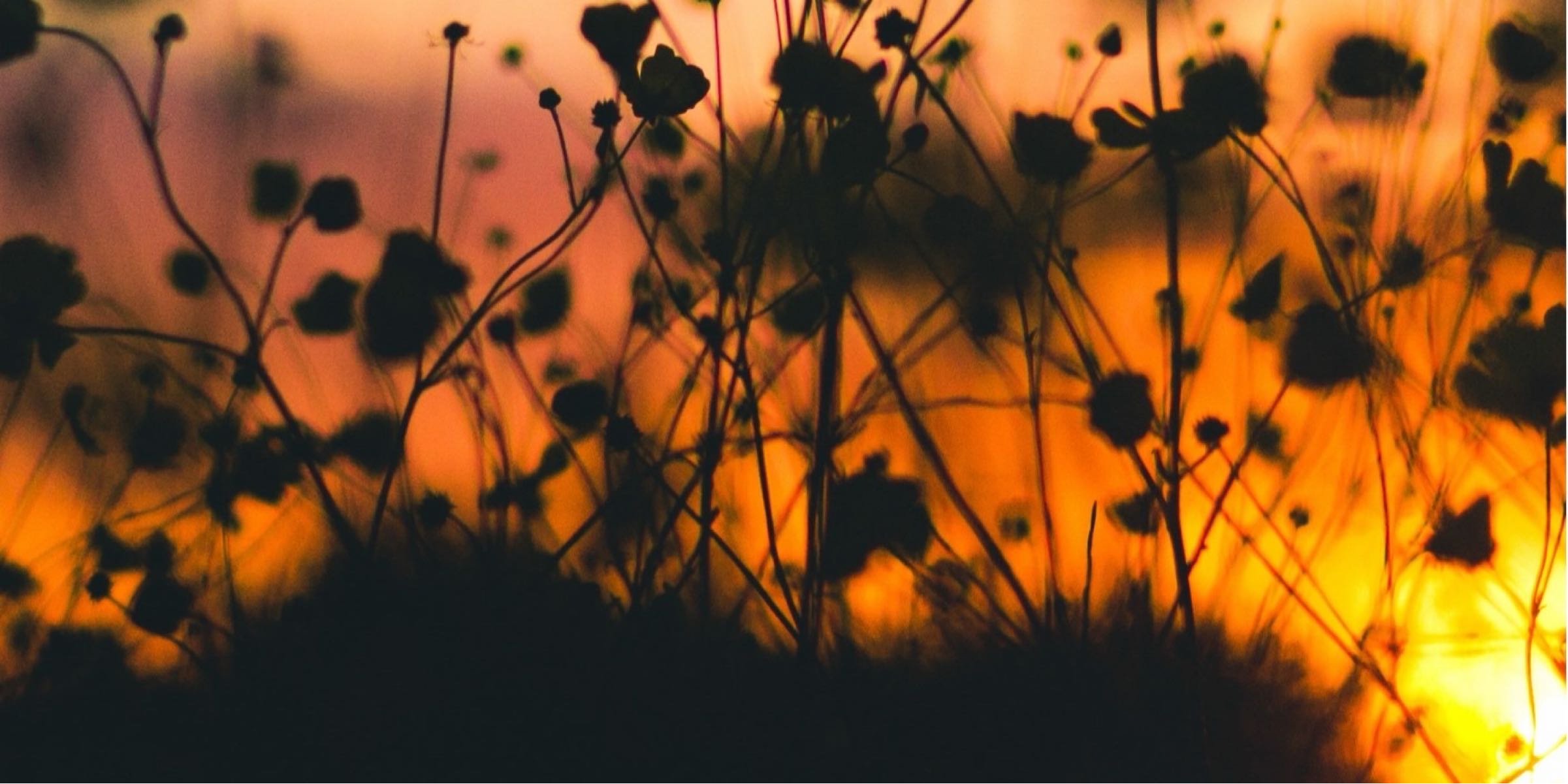 Profile cover