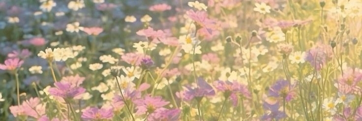 Profile cover