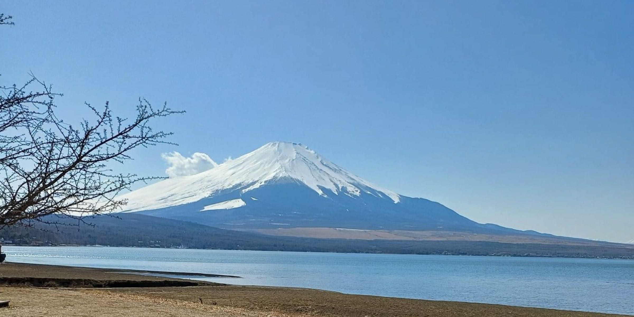 Profile cover