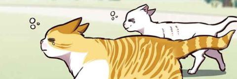 Profile cover