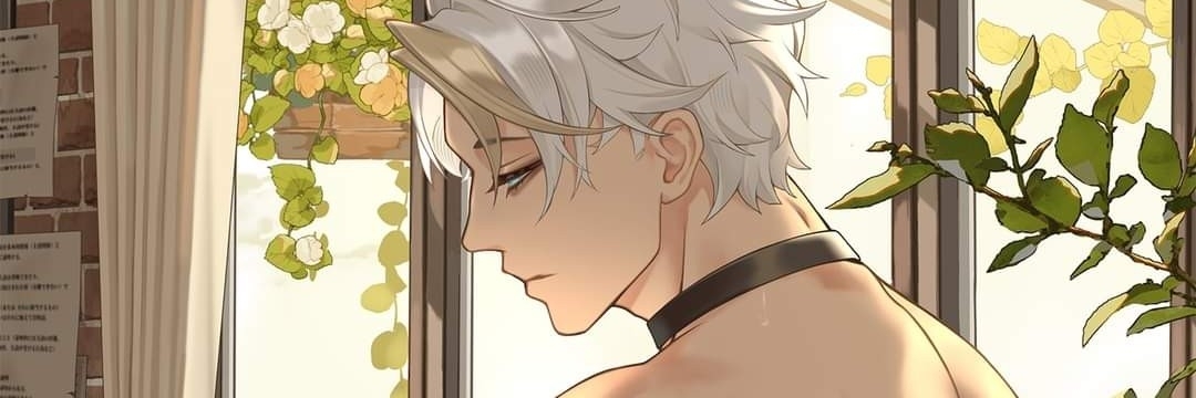 Profile cover