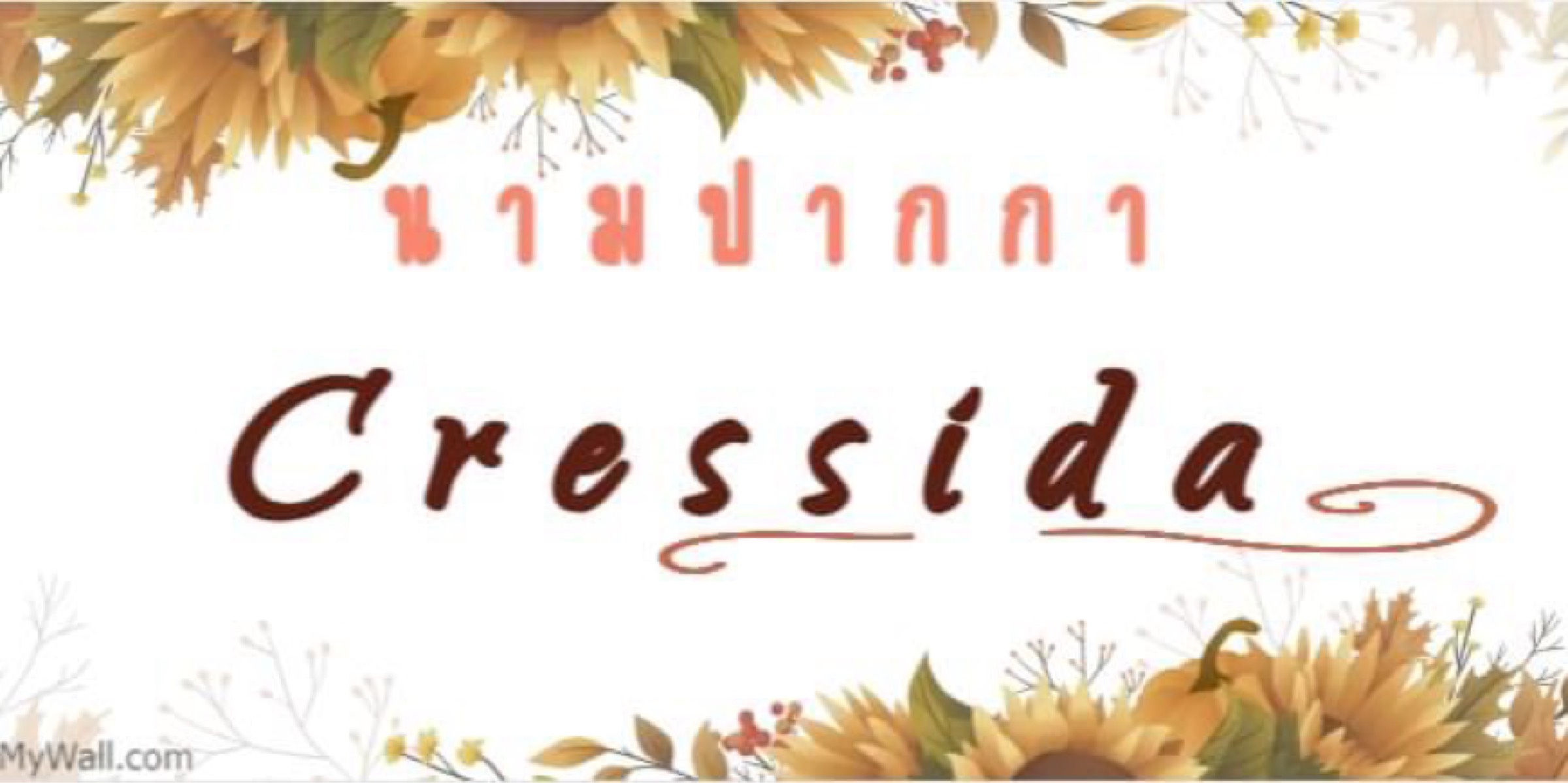 Profile cover