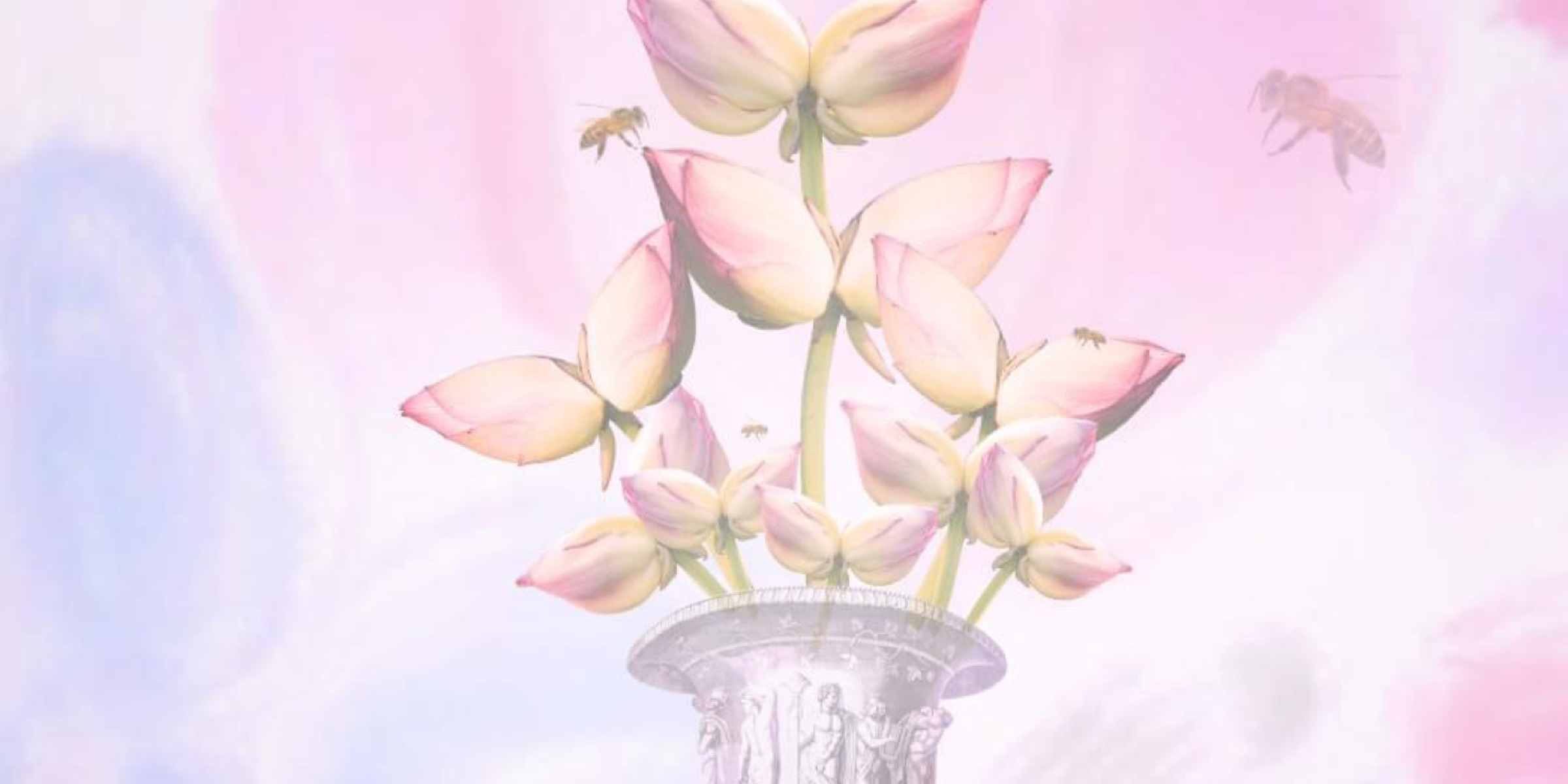 Profile cover