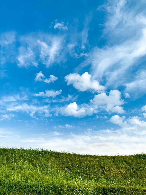 Profile cover