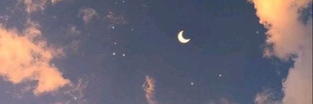 Profile cover