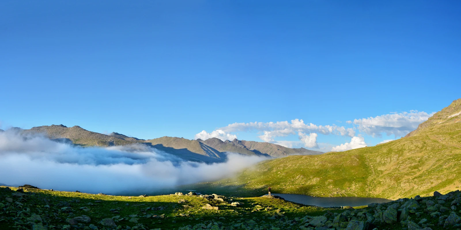 Profile cover