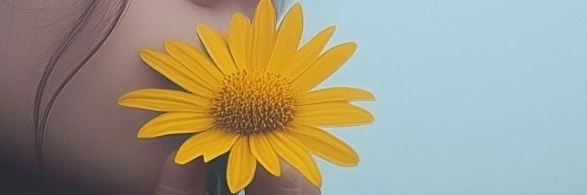 Profile cover