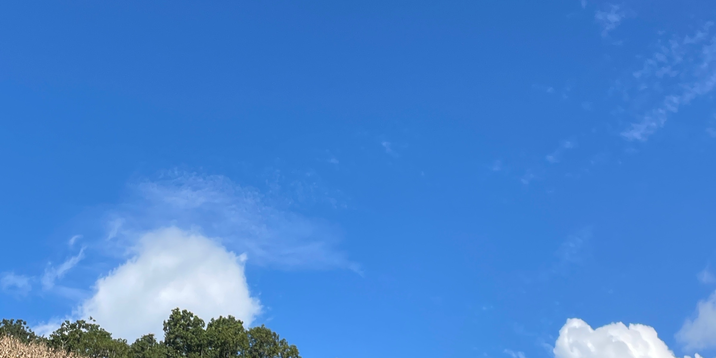 Profile cover