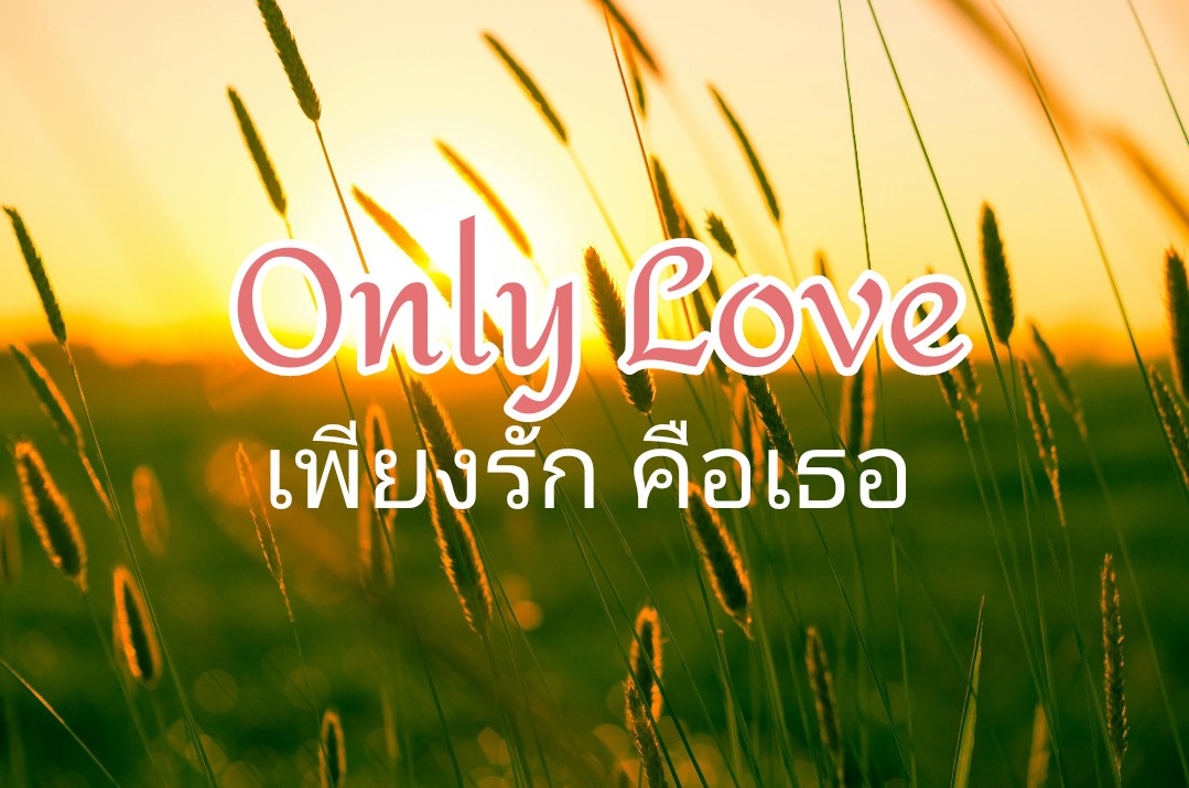 Profile cover