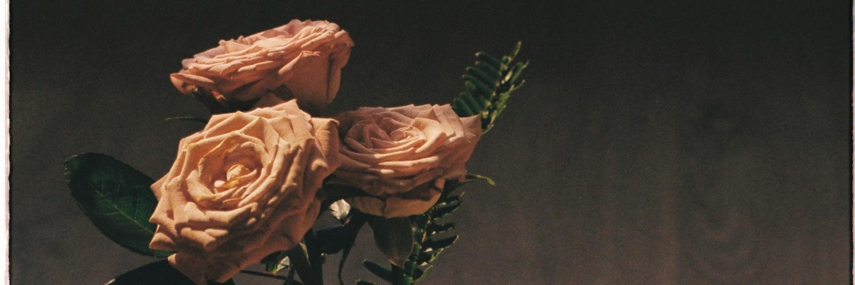 Profile cover