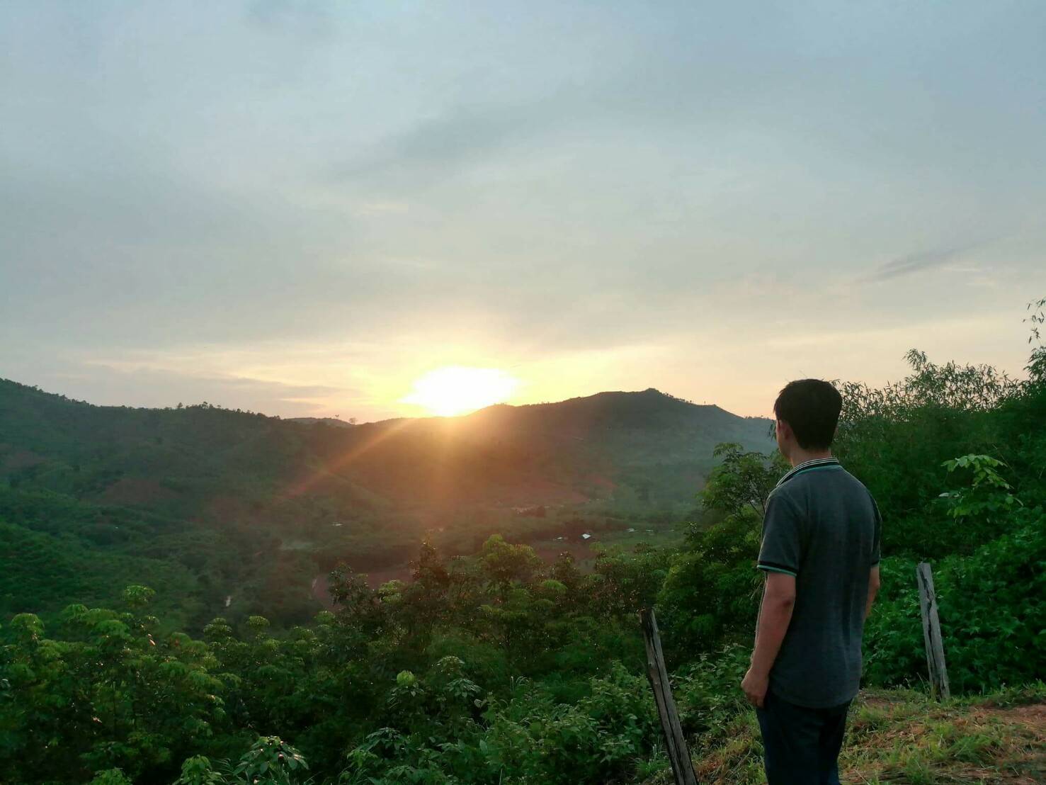 Profile cover