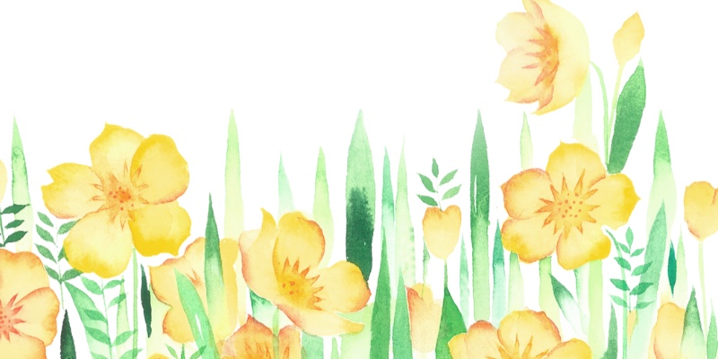 Profile cover