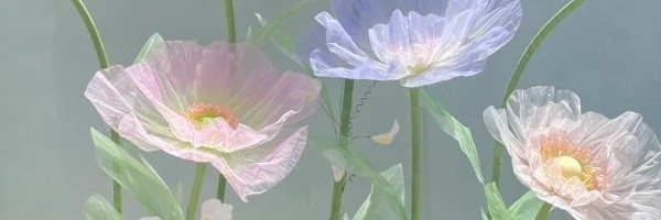 Profile cover