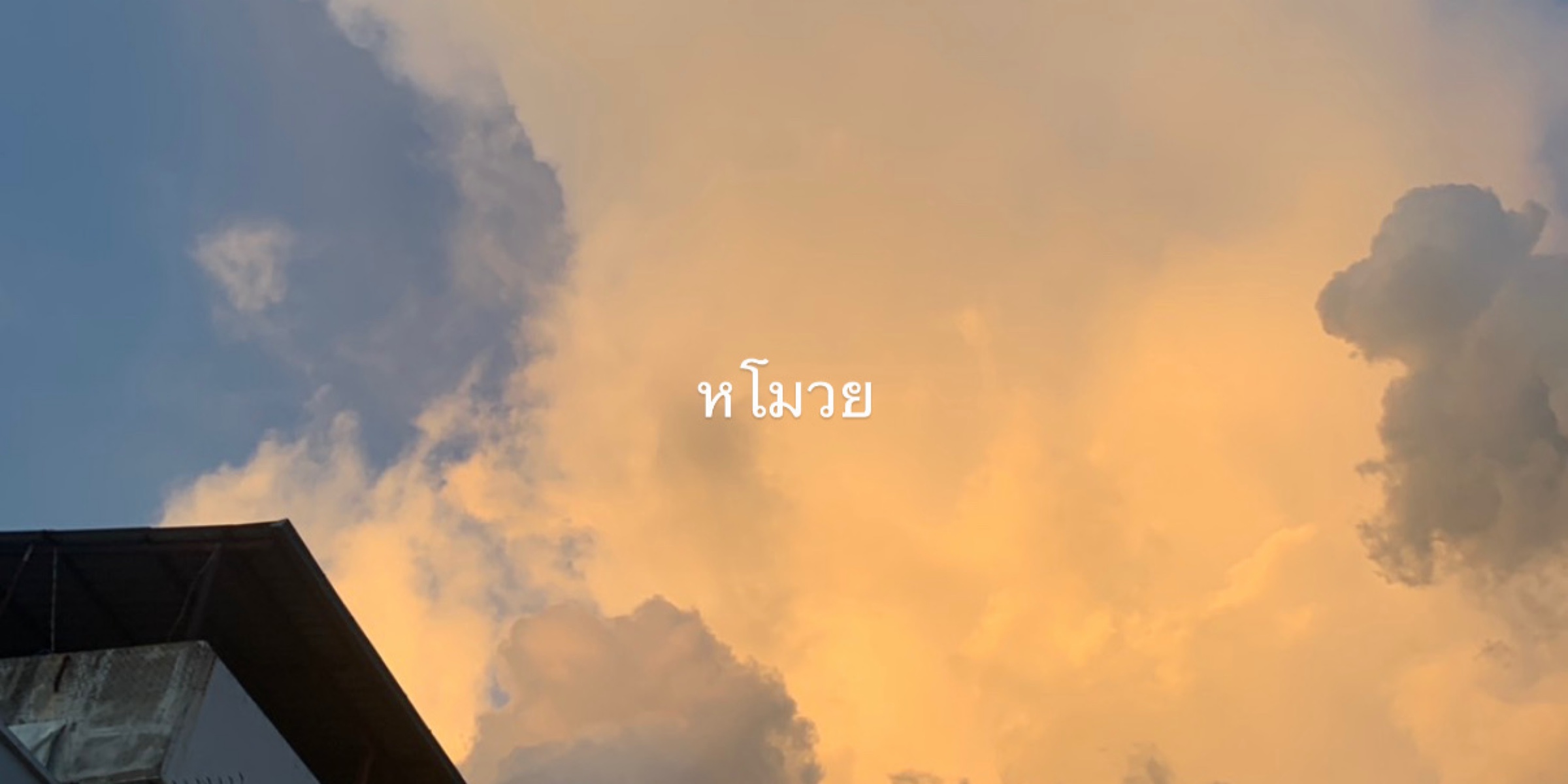 Profile cover