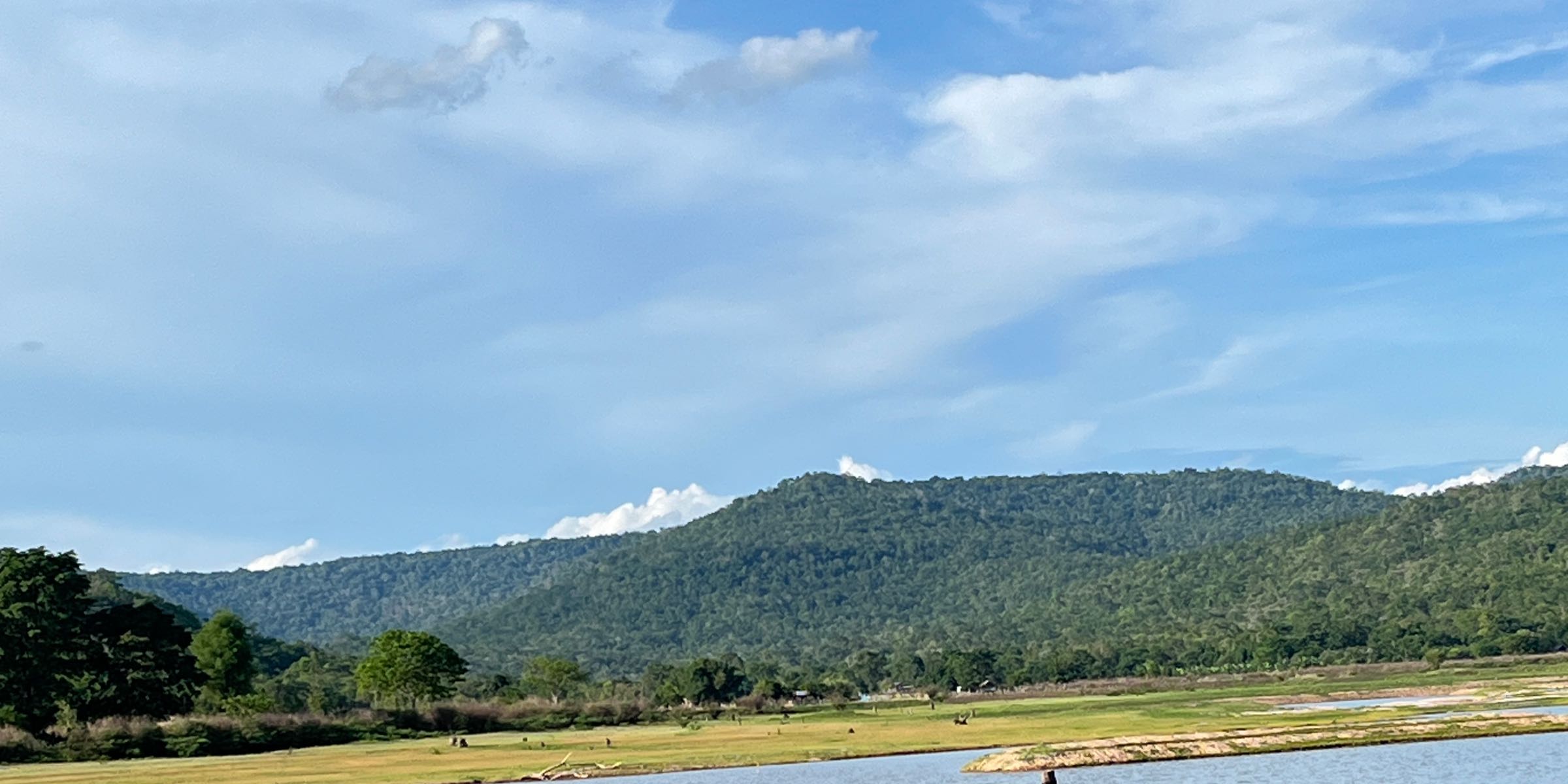 Profile cover