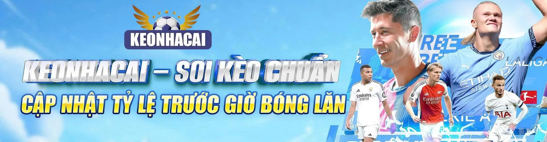 Profile cover