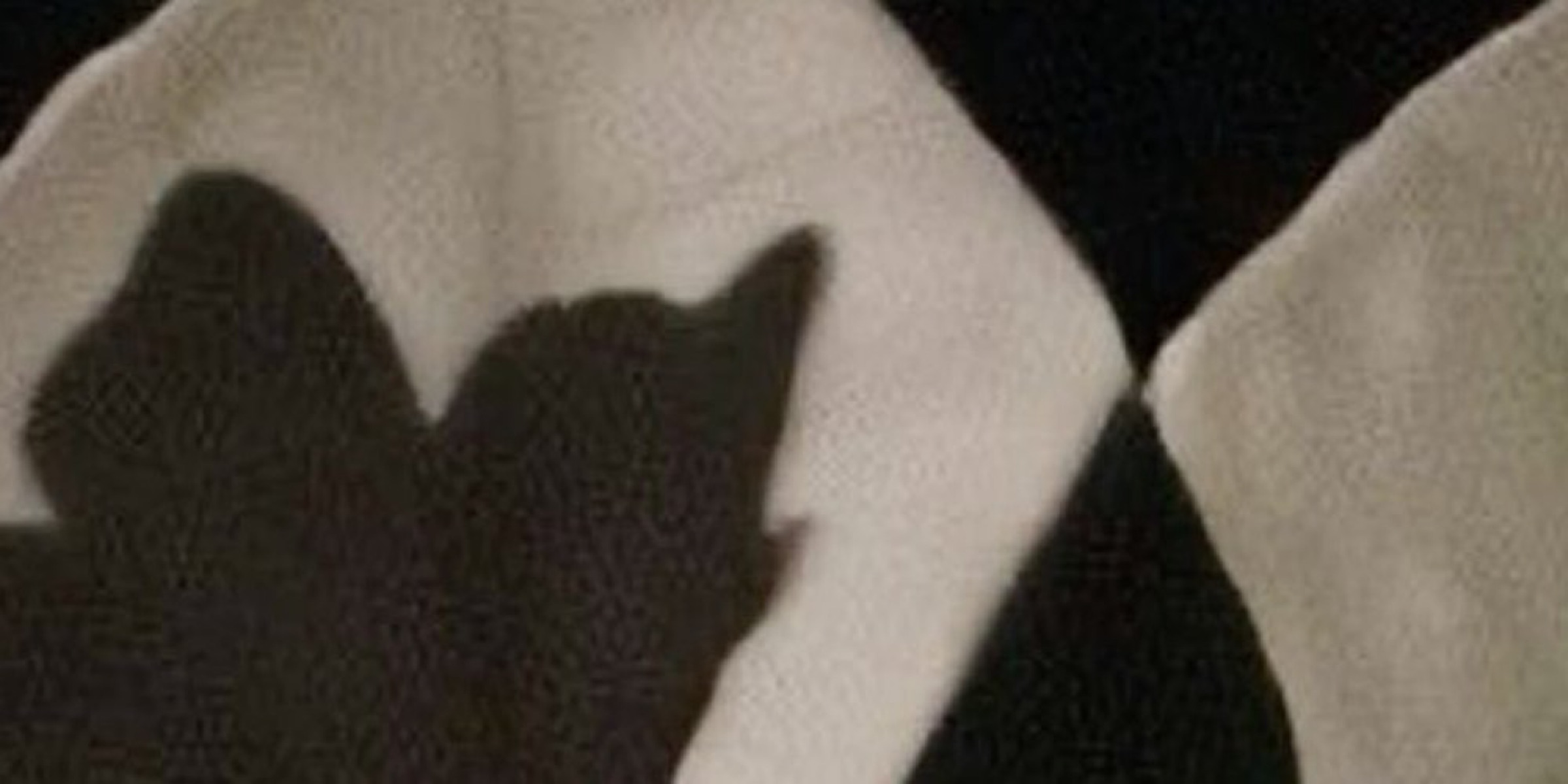 Profile cover