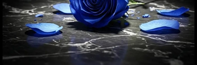 Profile cover