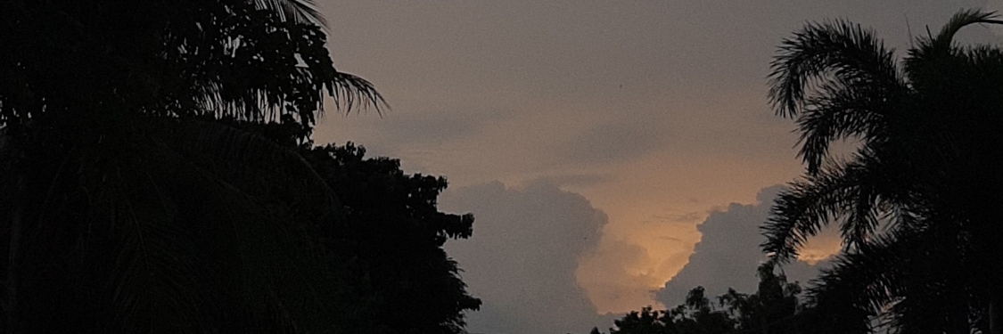 Profile cover