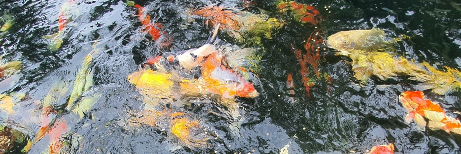 Profile cover