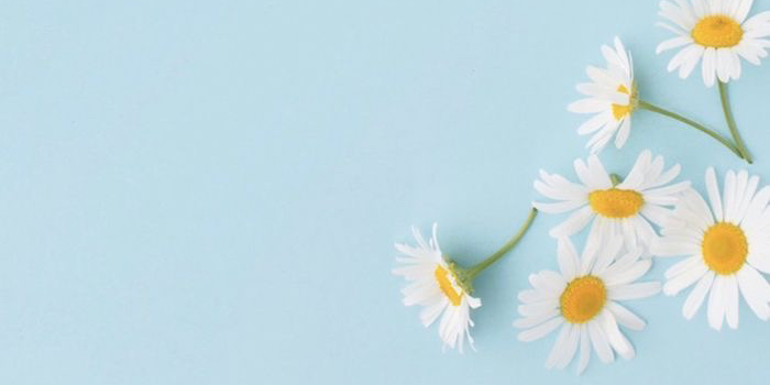Profile cover