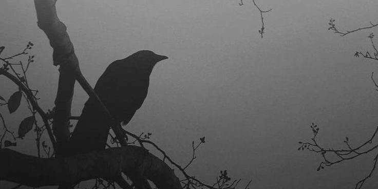 Profile cover